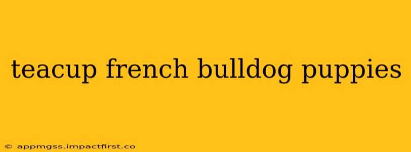 teacup french bulldog puppies