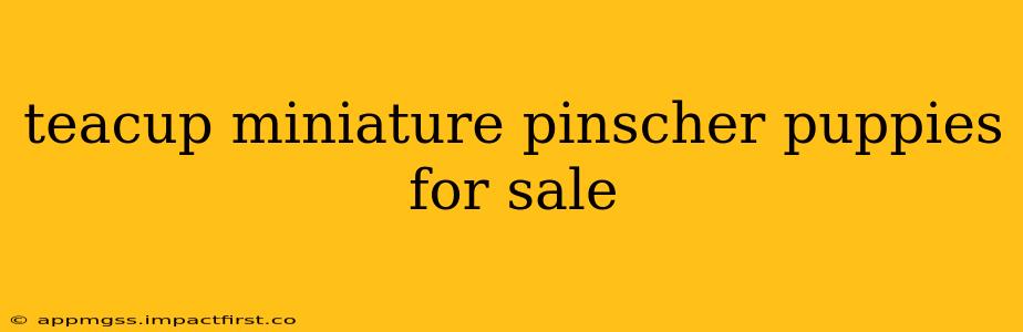 teacup miniature pinscher puppies for sale