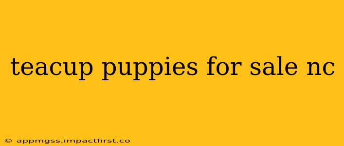 teacup puppies for sale nc