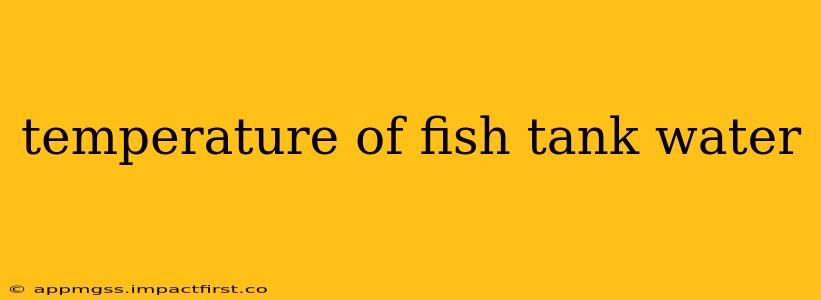 temperature of fish tank water