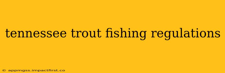 tennessee trout fishing regulations