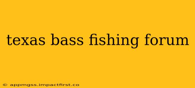 texas bass fishing forum