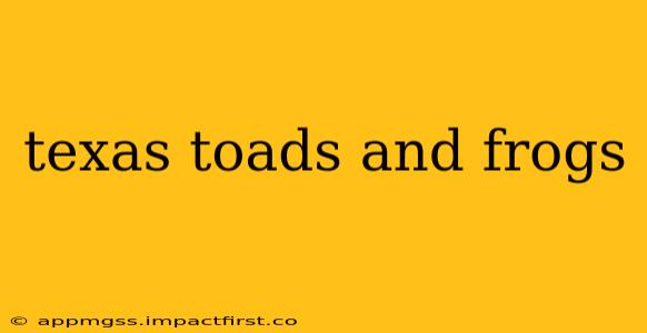 texas toads and frogs