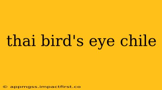 thai bird's eye chile