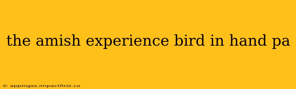 the amish experience bird in hand pa
