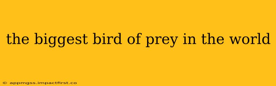 the biggest bird of prey in the world