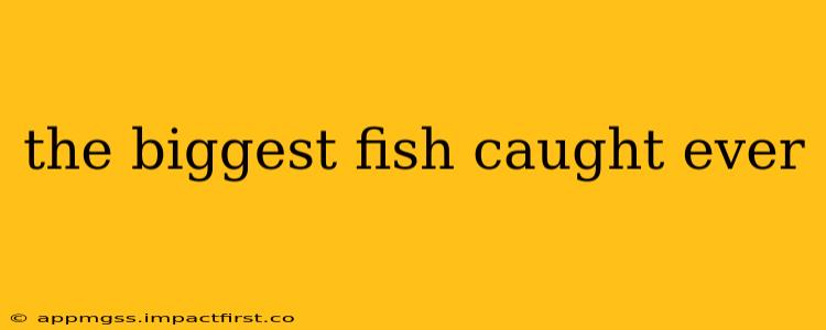 the biggest fish caught ever
