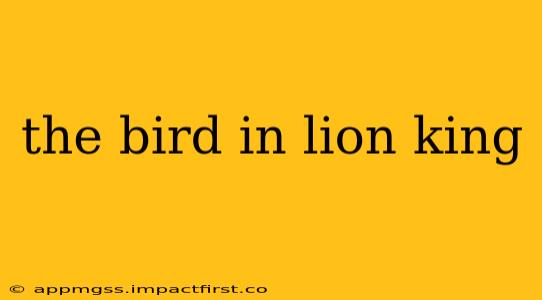 the bird in lion king