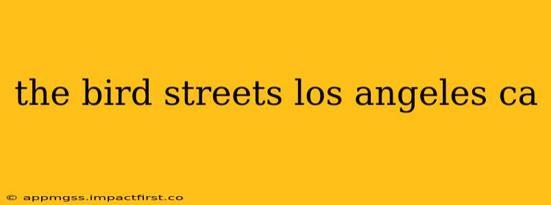 the bird streets los angeles ca