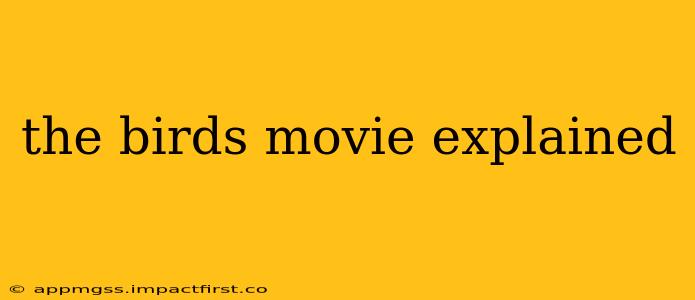 the birds movie explained
