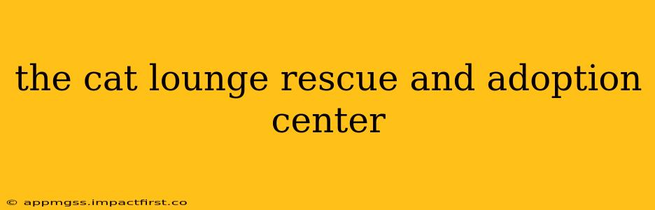 the cat lounge rescue and adoption center