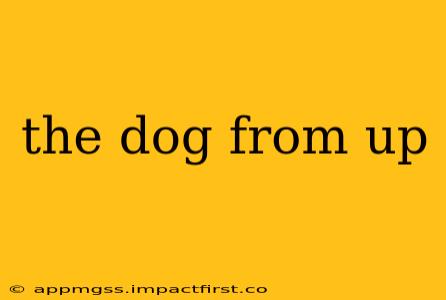 the dog from up