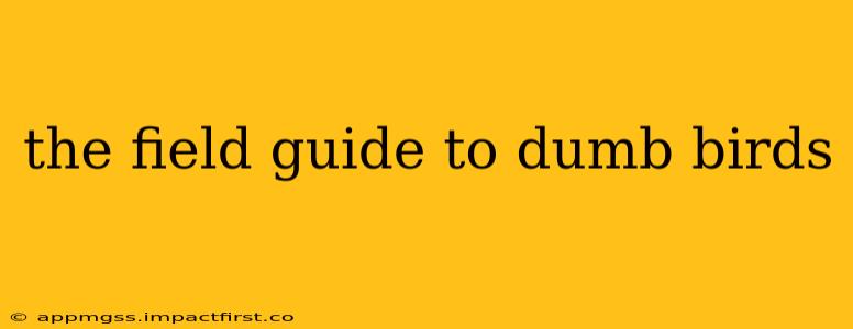 the field guide to dumb birds