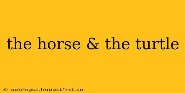 the horse & the turtle