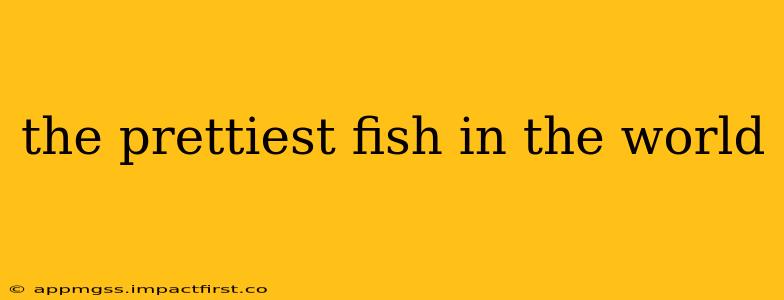 the prettiest fish in the world