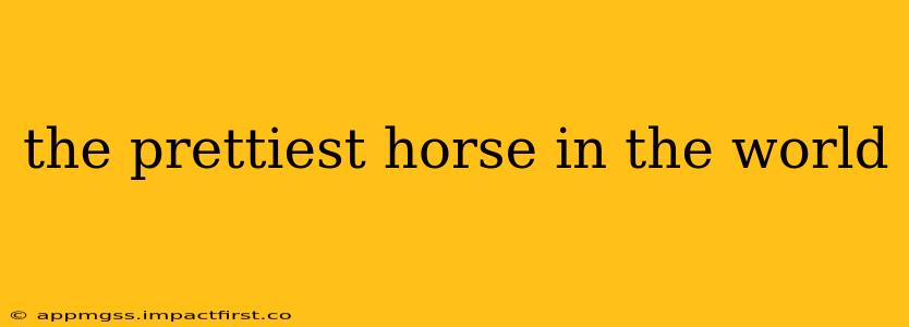 the prettiest horse in the world