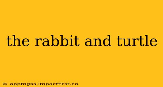 the rabbit and turtle