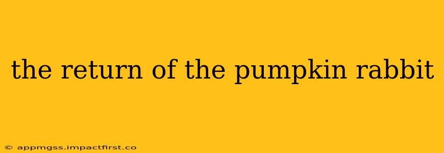 the return of the pumpkin rabbit