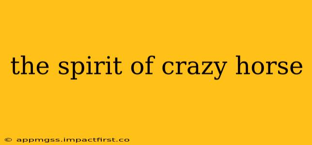 the spirit of crazy horse