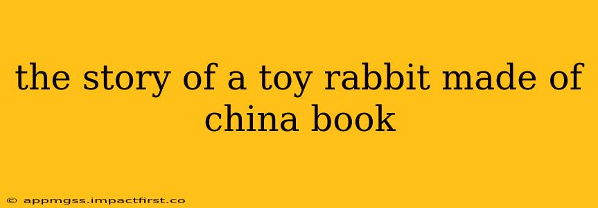 the story of a toy rabbit made of china book