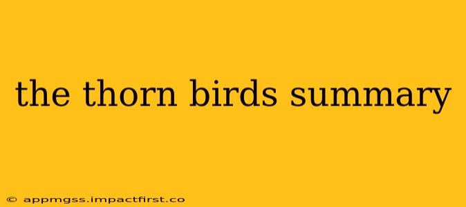 the thorn birds summary