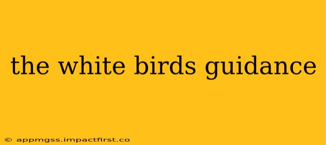 the white birds guidance