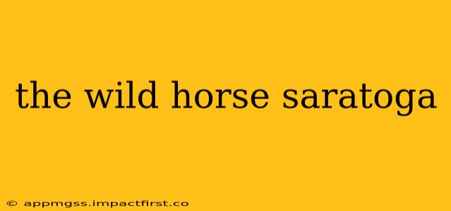 the wild horse saratoga