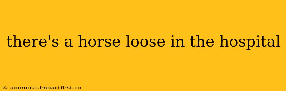 there's a horse loose in the hospital