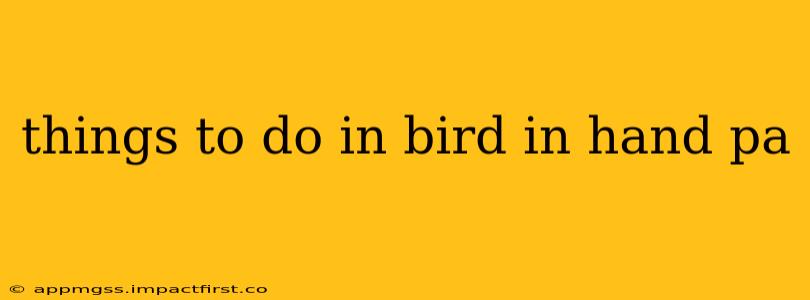 things to do in bird in hand pa