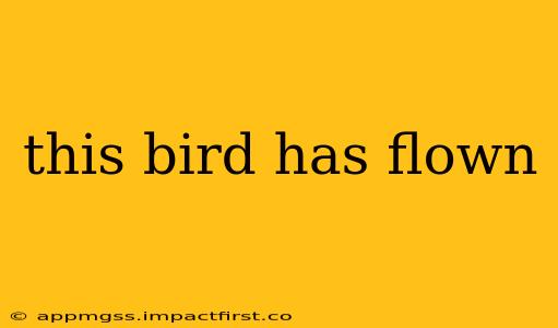 this bird has flown