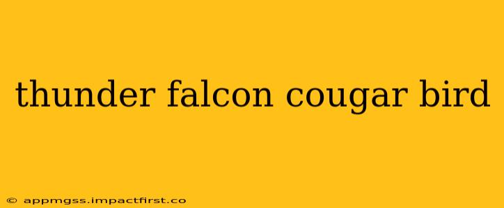 thunder falcon cougar bird