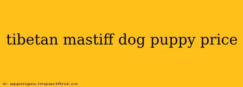 tibetan mastiff dog puppy price