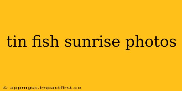 tin fish sunrise photos