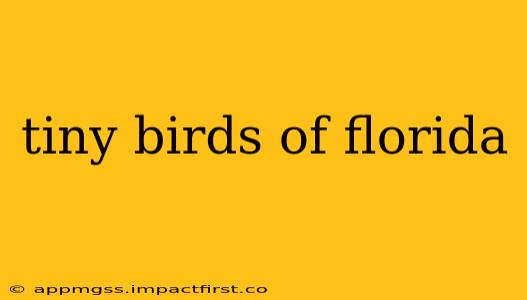 tiny birds of florida