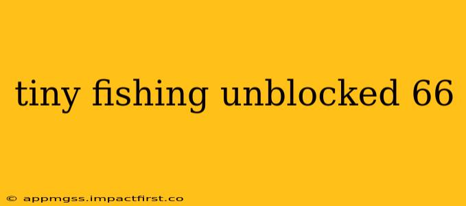 tiny fishing unblocked 66