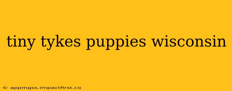 tiny tykes puppies wisconsin