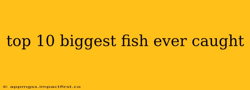 top 10 biggest fish ever caught