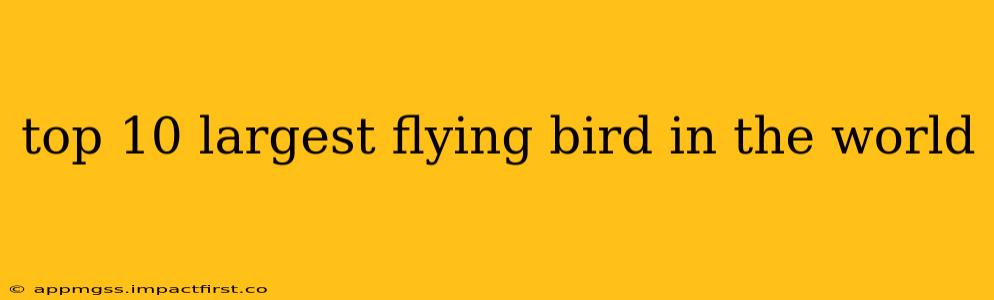 top 10 largest flying bird in the world