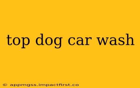 top dog car wash