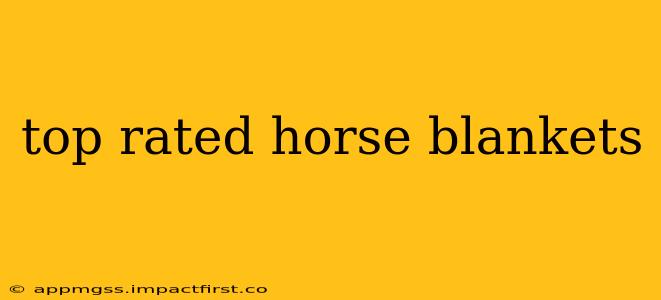 top rated horse blankets