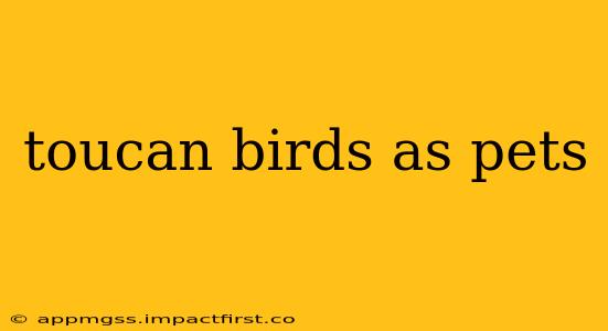 toucan birds as pets