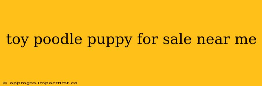 toy poodle puppy for sale near me