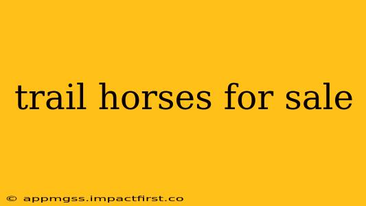 trail horses for sale