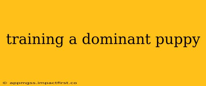 training a dominant puppy