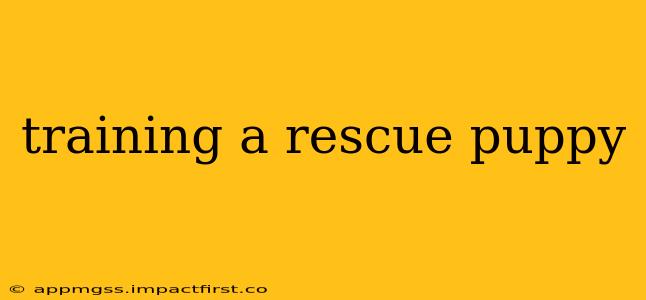 training a rescue puppy