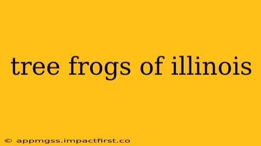 tree frogs of illinois