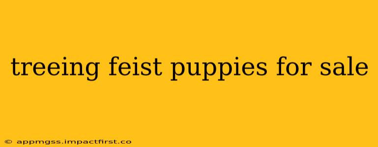 treeing feist puppies for sale
