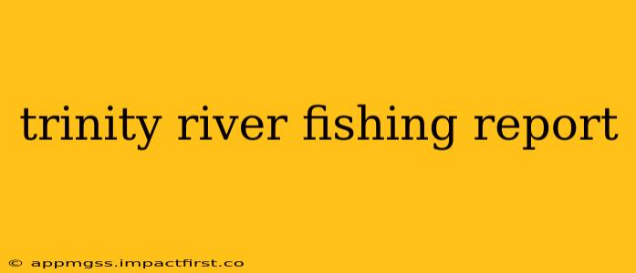 trinity river fishing report