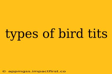 types of bird tits