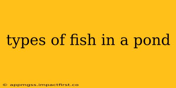 types of fish in a pond